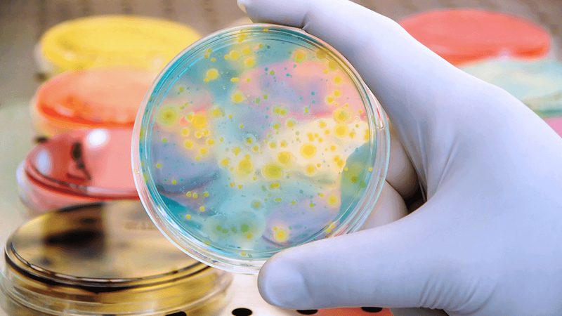 成都生物试剂标准品：精准科研的基石**
