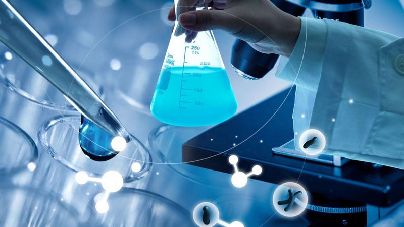 国产分子生物学试剂：性价比背后的秘密**