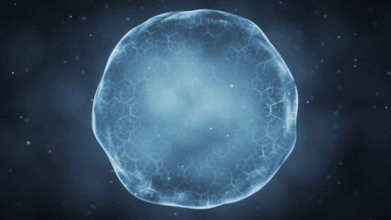 成都CDMO技术平台：揭秘生物医药研发的幕后英雄