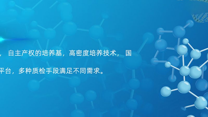 评估方法：多维度的考察