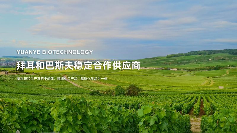 生物药CDMO原液生产：揭秘其背后的技术奥秘**