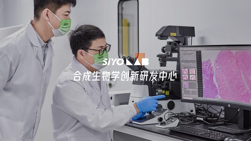 原代细胞培养：揭秘高效培养方法与关键要点**