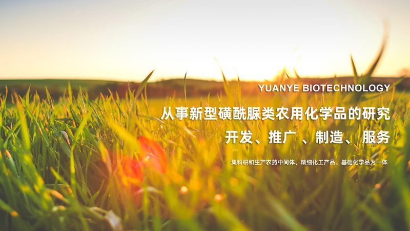 大分子药物定制合成：精准医疗的幕后功臣**