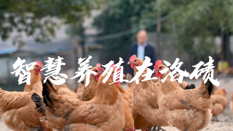CDMO不是“外包代工”那么简单