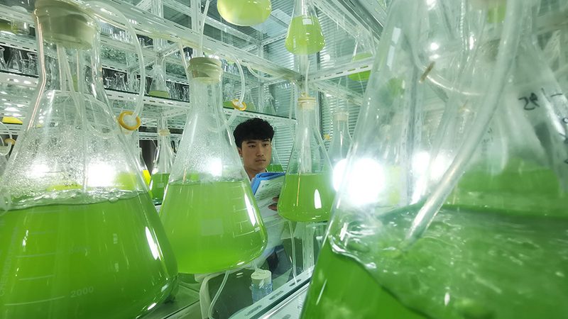 生物制品质量控制参数检测设备主要分为以下几类：